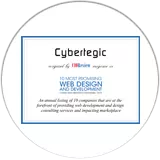 Cybertegic CIO Review