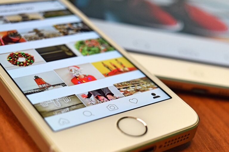 How to Grow Your Audience in Instagram